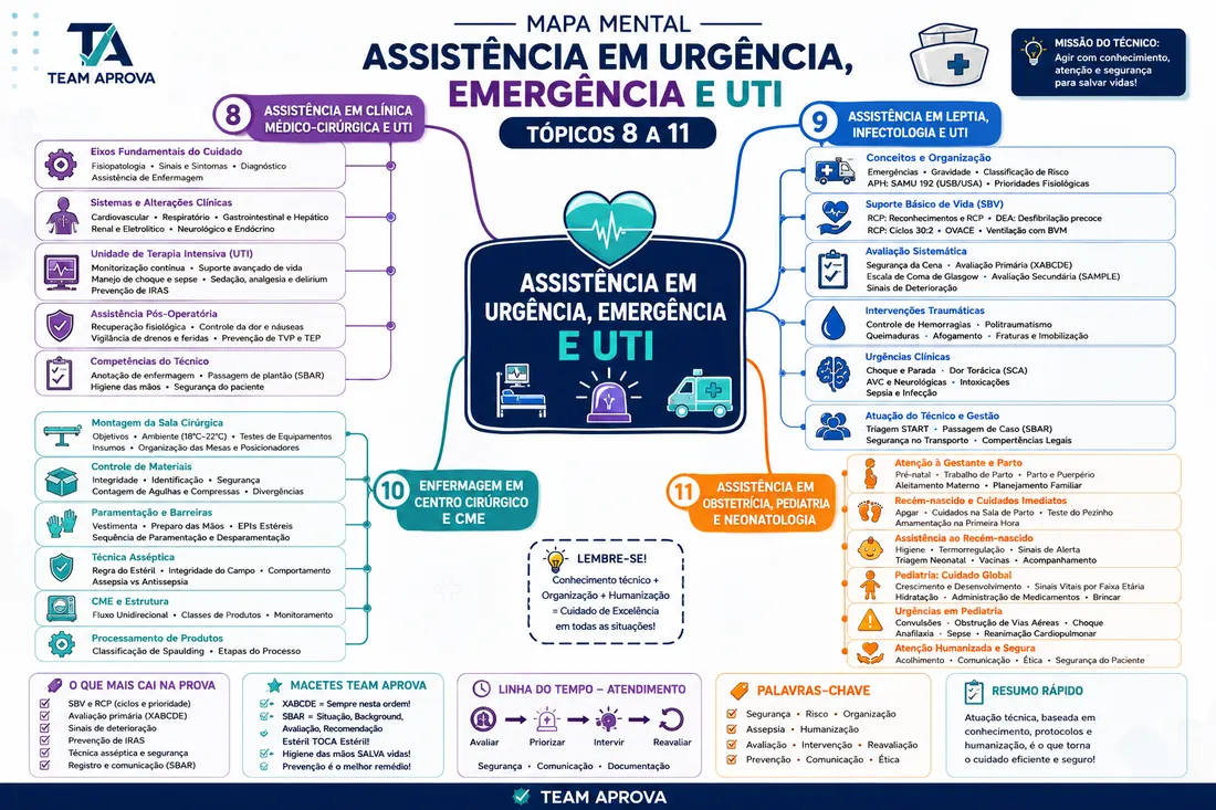 Mapa mental 6 do Combo Aprova SES-TO